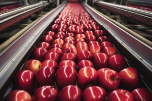 close-up-apples-being-processed
